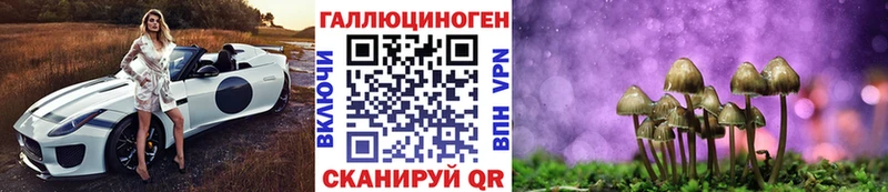 Купить где  Мещовск  Псилоцибиновые грибы Magic Shrooms 